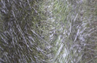 Guiting Power fibreglass roof work